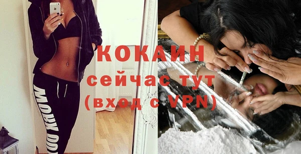 гидра Волосово